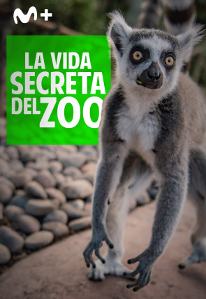 La vida secreta del Zoo (T6)