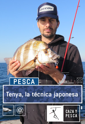 Tenya, una técnica japonesa