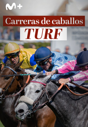 Carreras de caballos - Turf