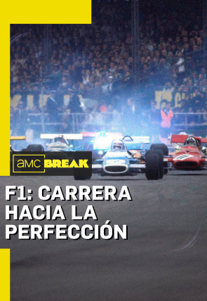 F1: Carrera hacia la perfección 