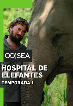 Hospital de elefantes