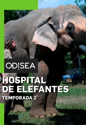 Hospital de elefantes