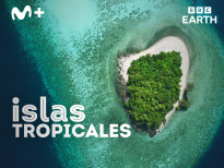 Islas tropicales | 1temporada
