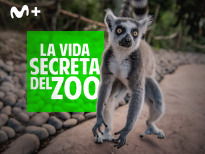 La vida secreta del Zoo | 3temporadas
