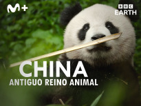 China: antiguo reino animal | 1temporada
