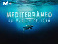 Mediterráneo: un mar en peligro | 1temporada
