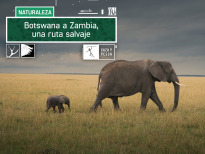 Botswana a Zambia una ruta salvaje

