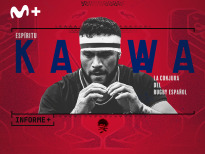 Informe+. Espíritu Kawa. La conjura del rugby español
