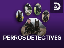 Perros detectives | 1temporada
