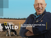 El increíble doctor Pol | 1temporada

