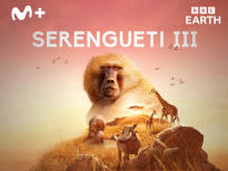Serengueti | 1temporada
