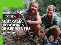Australia: cazadores de serpientes | 3temporadas

