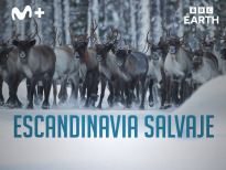 Escandinavia salvaje | 1temporada
