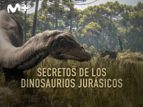 Secretos de los dinosaurios jurásicos | 1temporada
