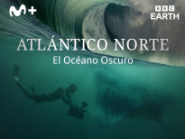 Atlántico Norte: el océano oscuro | 1temporada
