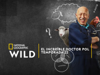 El increíble doctor Pol | 2temporadas
