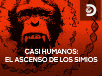 Casi humanos: el ascenso de los simios
