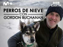 Perros de nieve con Gordon Buchanan

