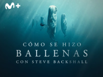 Ballenas con Steve Backshall | 1temporada
