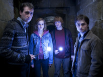 Harry Potter y las Reliquias de la Muerte 2ª parte
