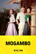 Mogambo
