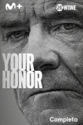 Your Honor | 1temporada
