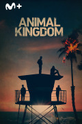 Animal Kingdom | 1temporada
