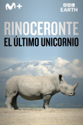 Rinoceronte: el último unicornio
