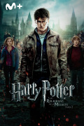 Harry Potter y las Reliquias de la Muerte 2ª parte
