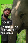 Hospital de elefantes | 1temporada
