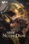 Arde Notre Dame
