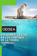 Patagonia: la vida en los confines del mundo | 1temporada
