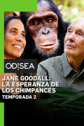 Jane Goodall: la esperanza de los chimpancés | 2temporadas
