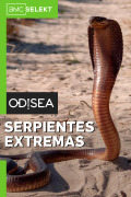Serpientes extremas | 1temporada
