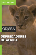Depredadores de África | 1temporada
