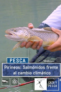 Pirineos: salmónidos frente al cambio climático
