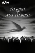 To Bird or Not To Bird
