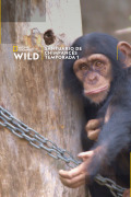 Santuario de chimpancés | 1temporada
